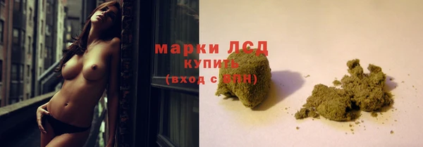 ГАЛЛЮЦИНОГЕННЫЕ ГРИБЫ Белоозёрский