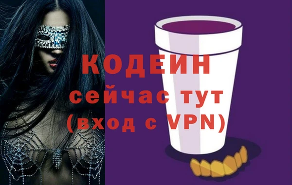 метадон Богданович