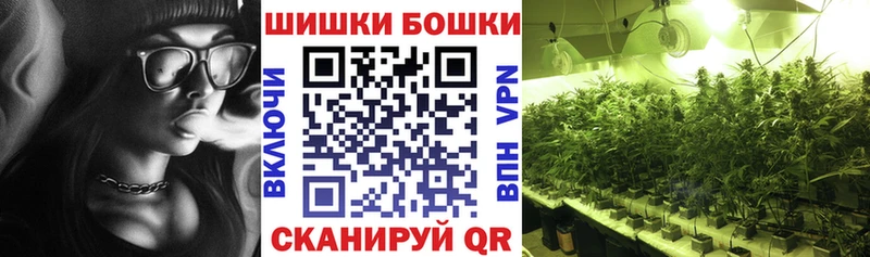 Купить где  Донской  Конопля SATIVA & INDICA 